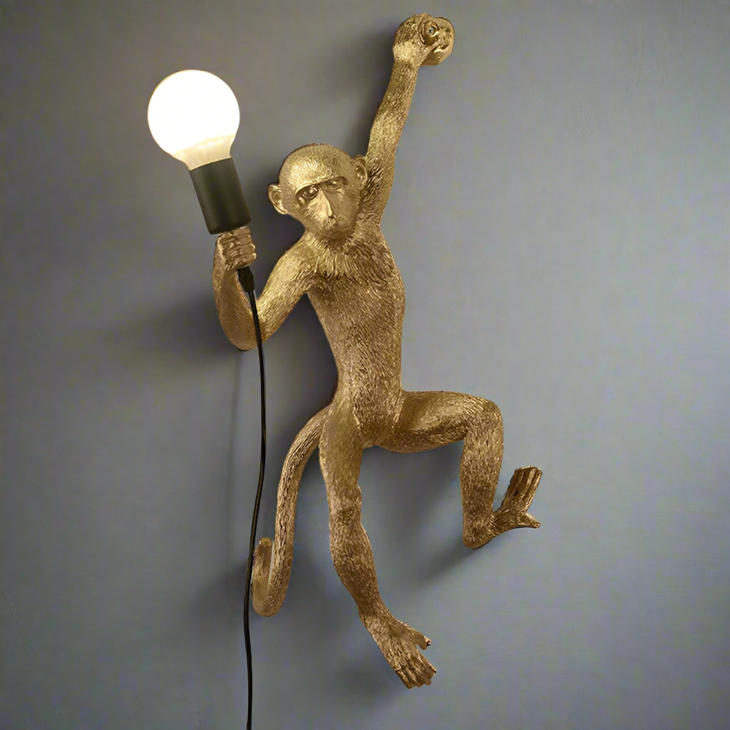 Whimsical Monkey Design Wall Light – Vintage Resin Pendant with Hemp Rope for Indoor Use 5