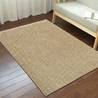 Absorbent Non-Slip Door Mat for Indoor and Outdoor Use